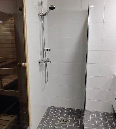 アパート Ski-star 314 レヴィ