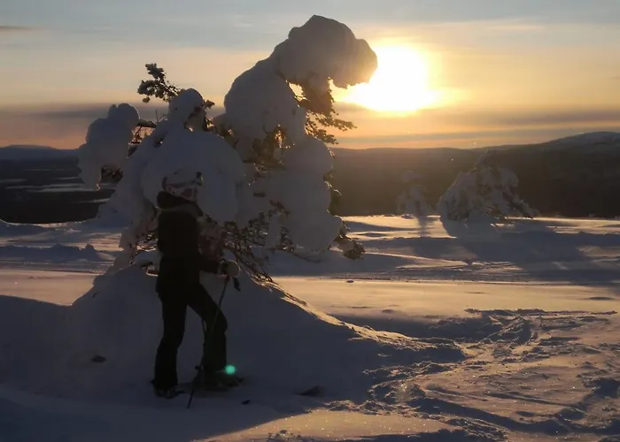 Ski-star 314 公寓 列维